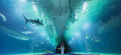 Oceanogràfic Valencia
