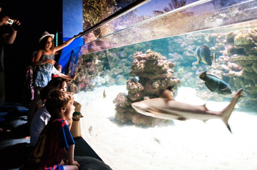 Aquarium of Palma de Mallorca