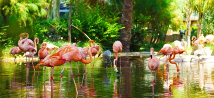 Zoo de Barcelona