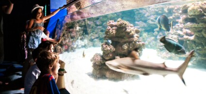 Palma Aquarium