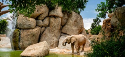 Bioparc de Valence