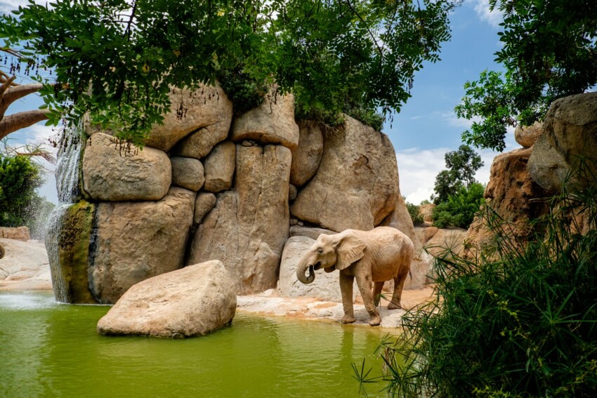 Bioparc de Valence